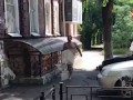 Голые и тупые