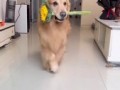 Элегантный мальчик