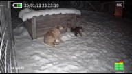 Размер не имеет значения