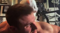 Cat joined the workout