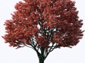 27c341c72b1ba27bc5012bc0e2fa304e_yapfiles.ru