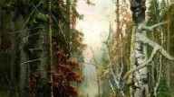 в лесу.1898