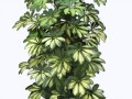 klipartz.com (14)