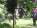 Пешеходный переход
