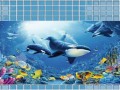814ee8da635d77c4be6a2f71f179ad18