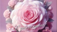 -АЛЛЫ-СТУДЕНТОВОЙ_01
