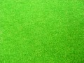 grass_texture223