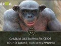 TOP 10 фактов о которых вы не знали