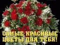 юле