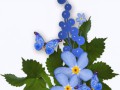 0_123a91_e9f4edac_orig.1png