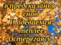 Года летят