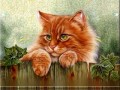 -СТАРОГО-КОТА_01