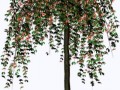 _yapfiles.ru (1)