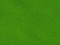 121_tile_ZooBoing-com_Grass.jpg86af7810-d636-43d5-8737-e7527e8ba21cLarge
