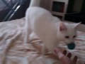 Играем в мячик