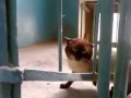 чё вам надо?