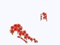 HF_Shoes05(ц-1)