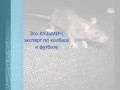 Англия-Россия. Прогноз Кузьмича.