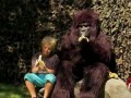 Говорила им горилла, приговаривала... (Hungry Gorilla Attack Prank)