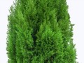 klipartz.com (12)