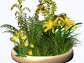 gelt_tcvet169