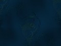 25_arnusha