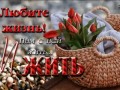 mycdn