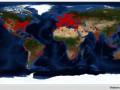 Histats_-_last_20.000_torrent-team.net_-_2015-11-04_18.12.27