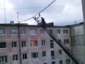 Птичку жалко
