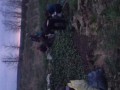 Фермеры выбрасывают огурцы в поле