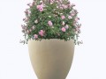 aida-with-plant-min