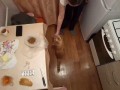 Кузя прыгает
