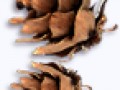 _7