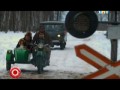 Митрич - красный и зеленый