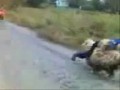 Мой баран быстрее твоего