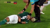 Игрок «Палмейраса» изобразил нырок года