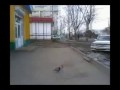 Продажа спиртного подростку. Скрытая камера.