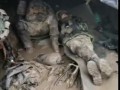 Украинские окопы