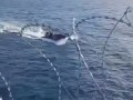 защита корабля от пиратов