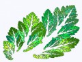 Fractal-1