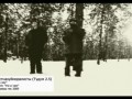 Постнахуйморалисты - Это лес