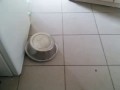 Удалось заснять полтергейст