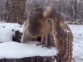 Лететь можешь?