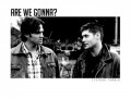 Supernatural 225