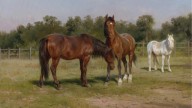 Three_Horses_in_a_Landscape_-_Rosa_Bonheur.webp
