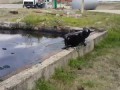 День нефтяника !супергерой Человек-мазут!