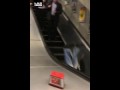 Дурная голова яйцам покоя не дает