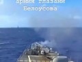 Война по Белоусову
