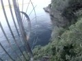 Встреча с белой акулой