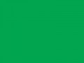 Пигментный зеленый	#00A550	0	165	80
